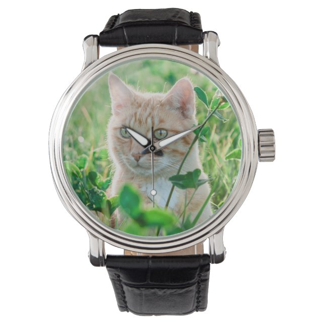Cat in Nature Watch (Front)