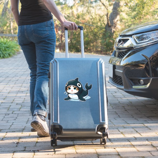 Cat in Orca Costume  (Suitcase Insitu)