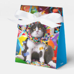 Cat In Party Cone Favor Box