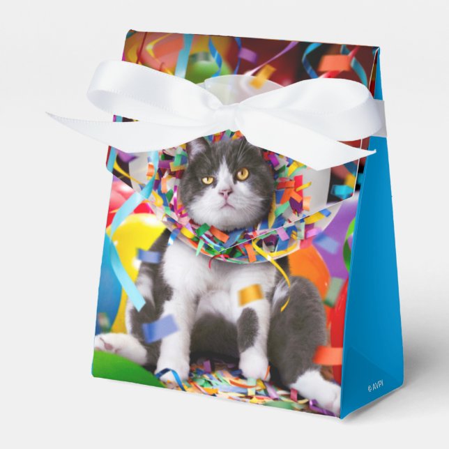 Cat In Party Cone Favor Box (Front Side)
