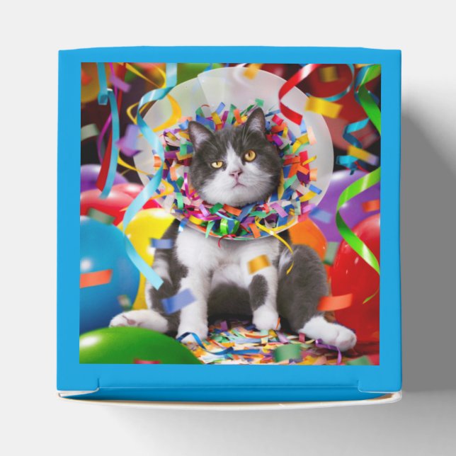 Cat In Party Cone Favor Box (Top)