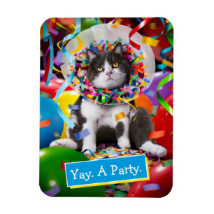 Cat In Party Cone Magnet