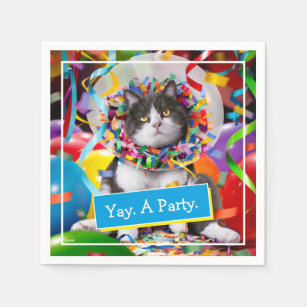 Cat In Party Cone Napkin