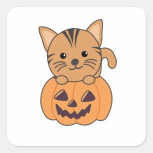 Cat In Pumpkin Cats Halloween Square Sticker