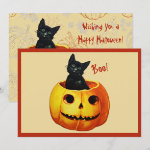 Cat in Pumpkin Holiday Card