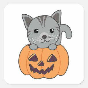 Cat In Pumpkin Sweet Cats Happy Halloween Square S Sticker