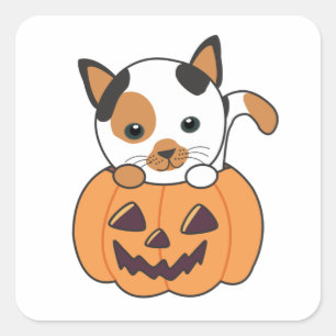 Cat In Pumpkin Sweet Cats Happy Halloween Square Sticker