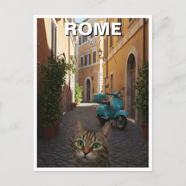 Cat in Rome Cobblestone street Italy Postcard (Front)