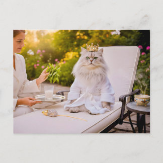 Cat in Royal Spa Lounge Postcard