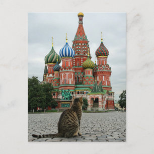 Cat in Russia Moscow Travel Postcard