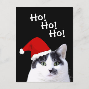Cat in Santa Hat Holiday Postcard
