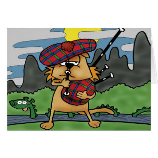 Cat in Scotland