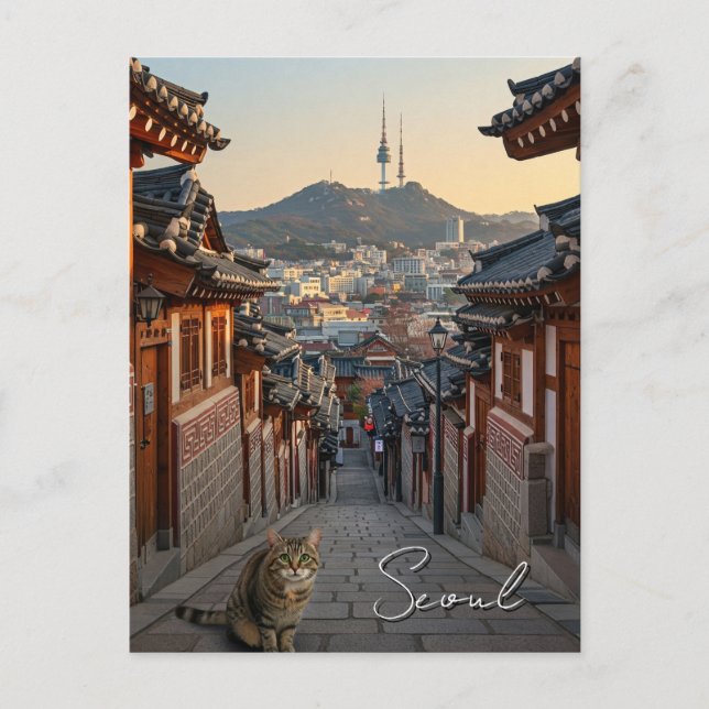 Cat in Seoul Bukchon South Korea Postcard (Front)