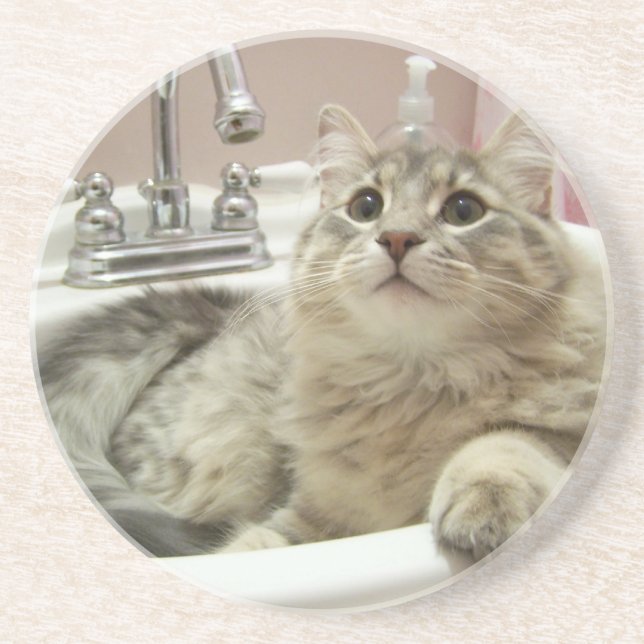 cat in sink coaster (Front)