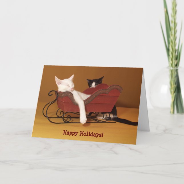 Cat in Sled Humour Christmas Card (Front)