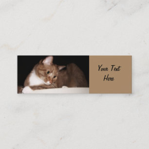 Cat in Soft Light Mini Business Card