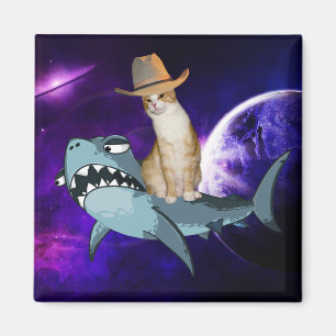 CAT IN SPACE RIDNG A SHARK MAGNET