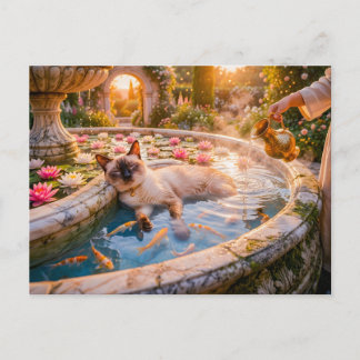Cat in Sunset Garden Fountain Postcard