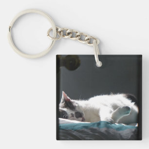 Cat in Sunspot Do Not Disturb Keychain