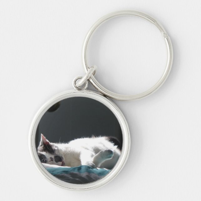 Cat in Sunspot Do Not Disturb Keychain (Front)