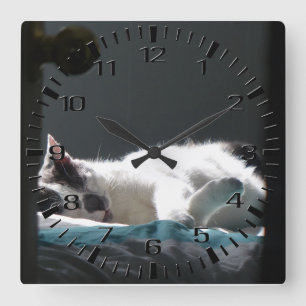 Cat in Sunspot Do Not Disturb Square Wall Clock