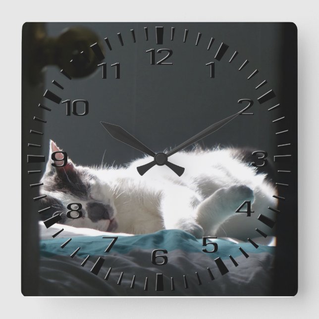 Cat in Sunspot Do Not Disturb Square Wall Clock (Front)
