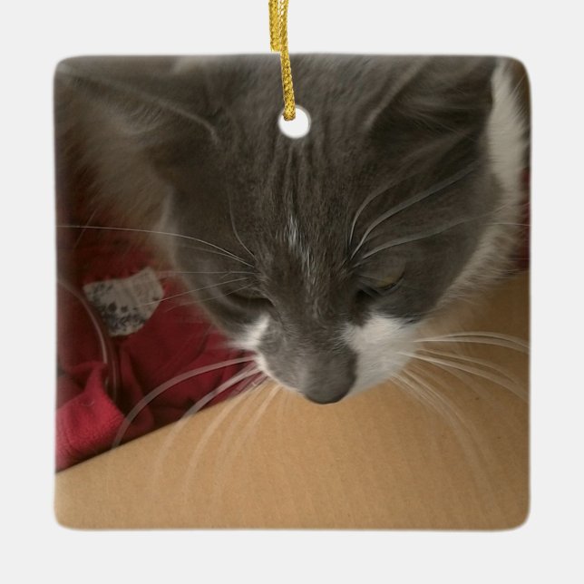 Cat in the Box Ceramic Ornament (Front)