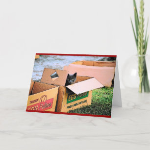 Cat in the Box Christmas Card