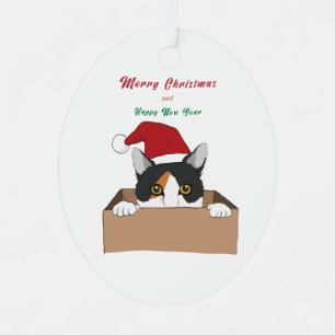 Cat in the box Christmas Metal Ornament