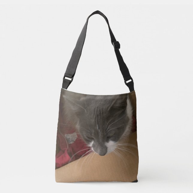 Cat in the Box Crossbody Bag (Front)