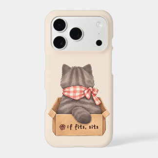 Cat in The Box iPhone Case