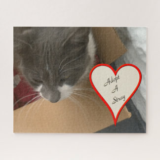 Cat in the Box Jigsaw Puzzle