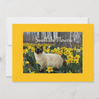 Cat in the Daffodil Flowers Holiday Card