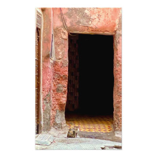 Cat in the Medina - Marrakech, Morocco Photo Print