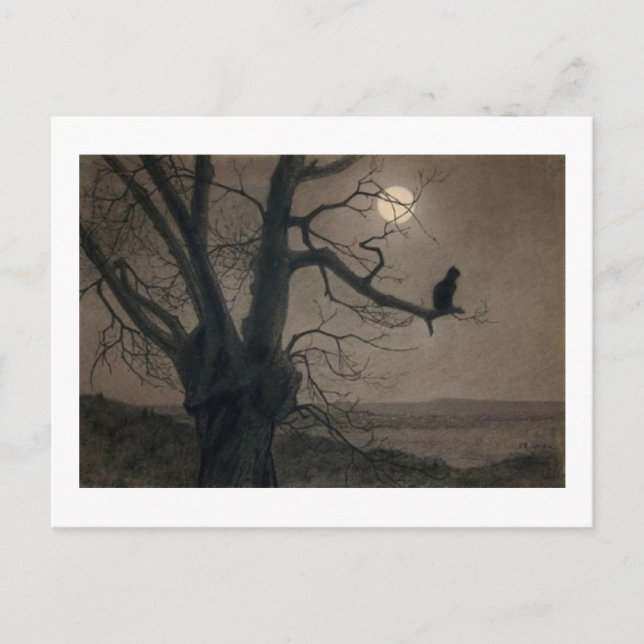 Cat in the Moonlight, Alexandre Steinlen Postcard (Front)