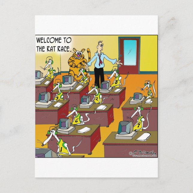 Cat In The Rat Race Postcard (Front)