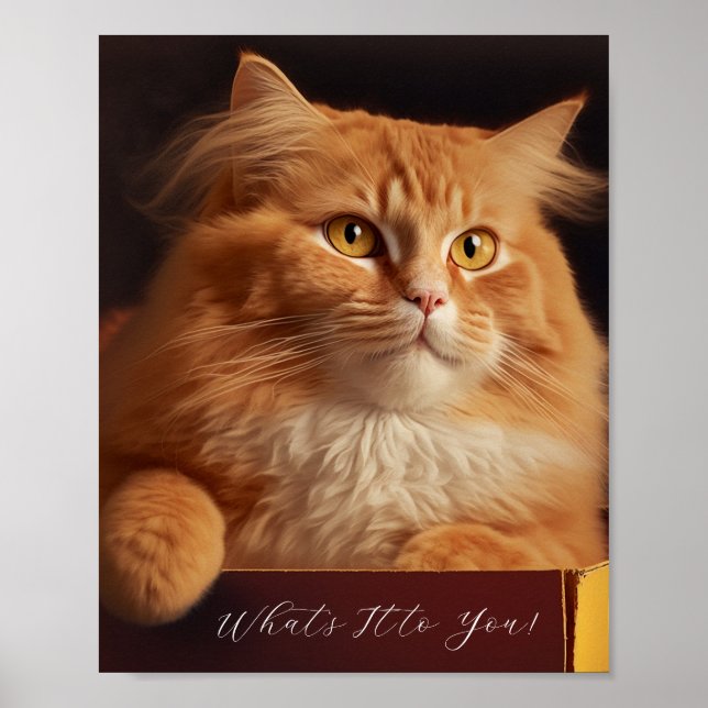 Cat In The Shoe Box - Sarcastic Cat Poster (Front)