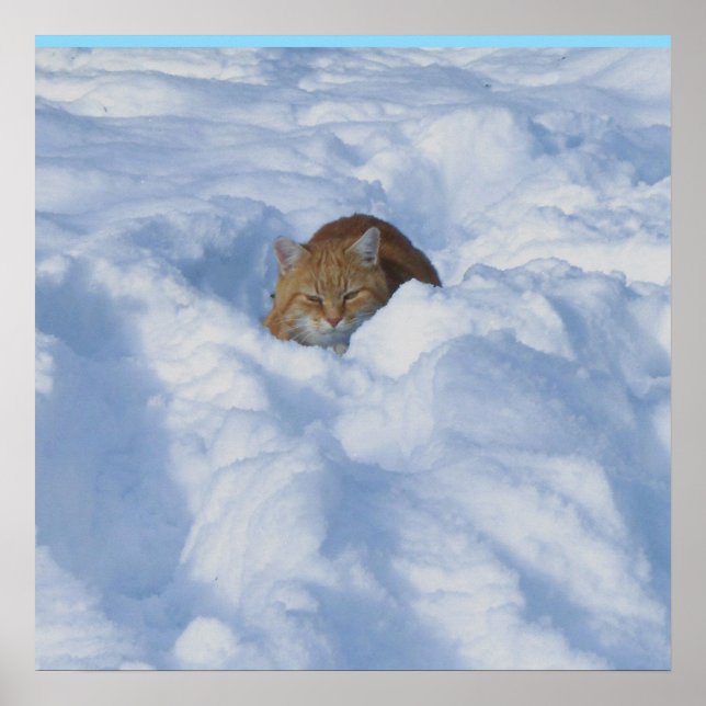 Cat in the snow poster (Front)