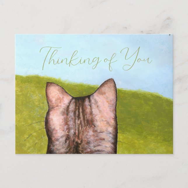 Cat in the Window  Postcard (Front)