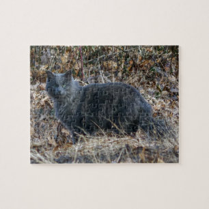 Cat in the Woods Jigsaw Puzzle