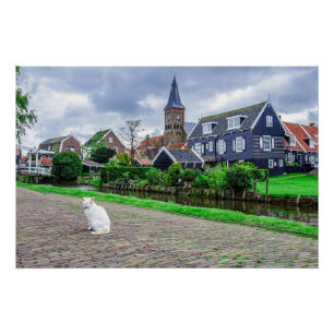 Cat in traditional fishing village poster