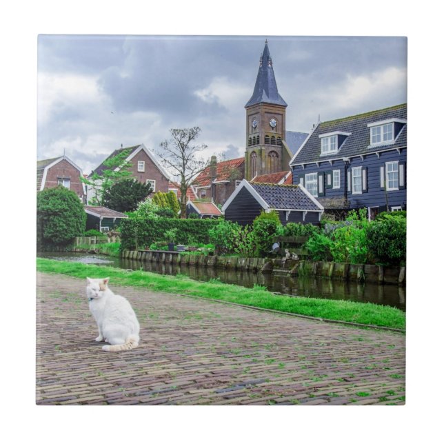 Cat in traditional fishing village tile (Front)