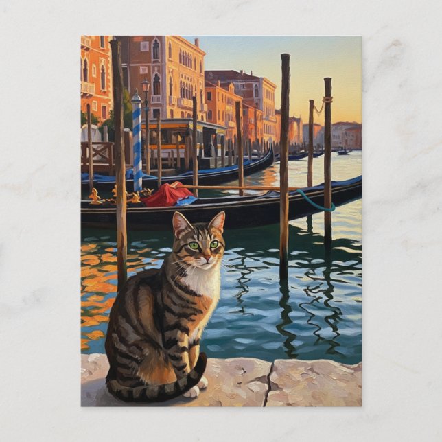 Cat in Venice Italy Travel Postcard (Front)