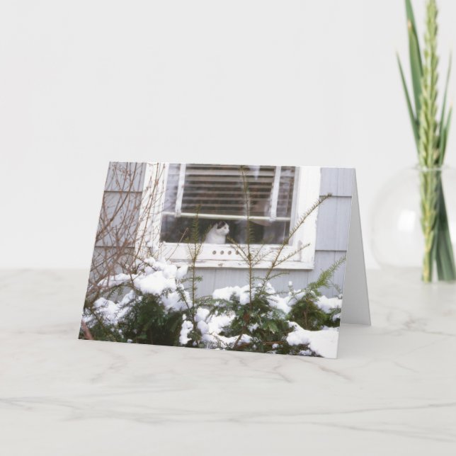 Cat in Window Christmas Pretty Black & White Holiday Card (Front)