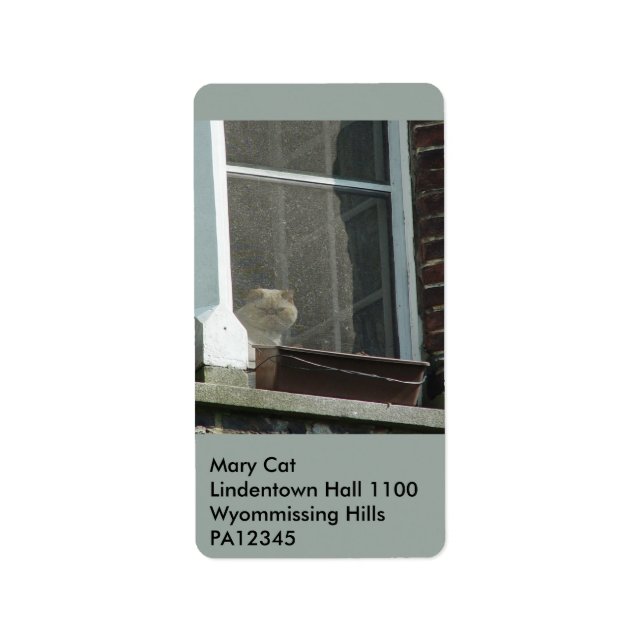 Cat in Window Label (Front)