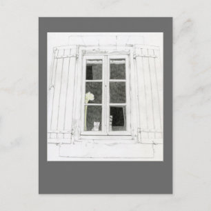 Cat in Window Postcard