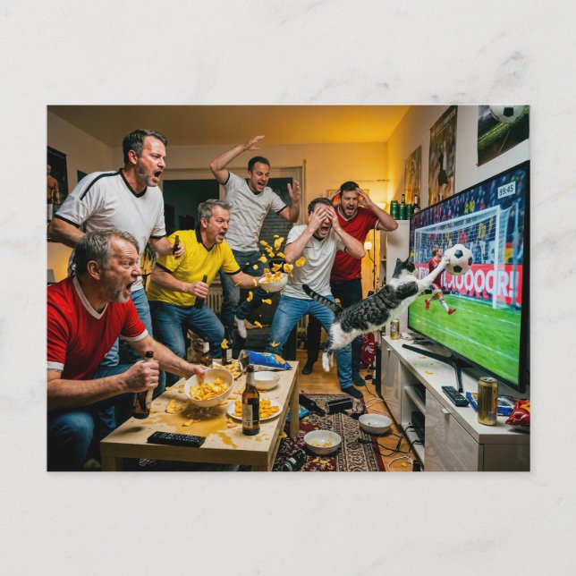 Cat Interrupts Football Night Postcard (Front)