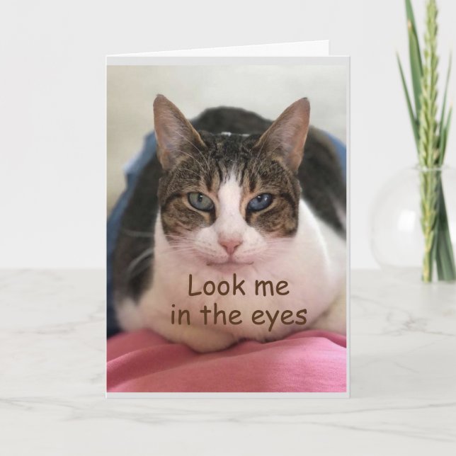 CAT IS CAN'T BELIEVE YOU'RE *30"  CARD (Front)