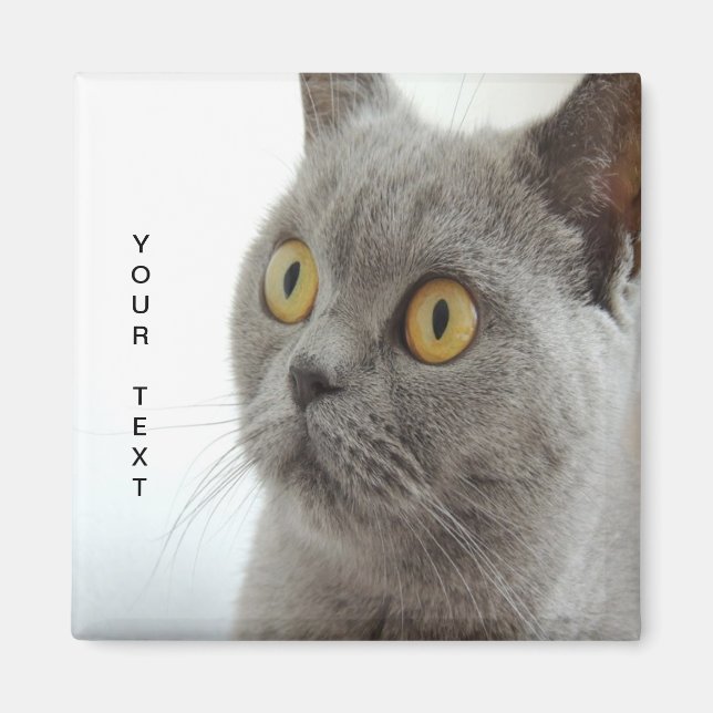 Cat is cute magnet (Front)