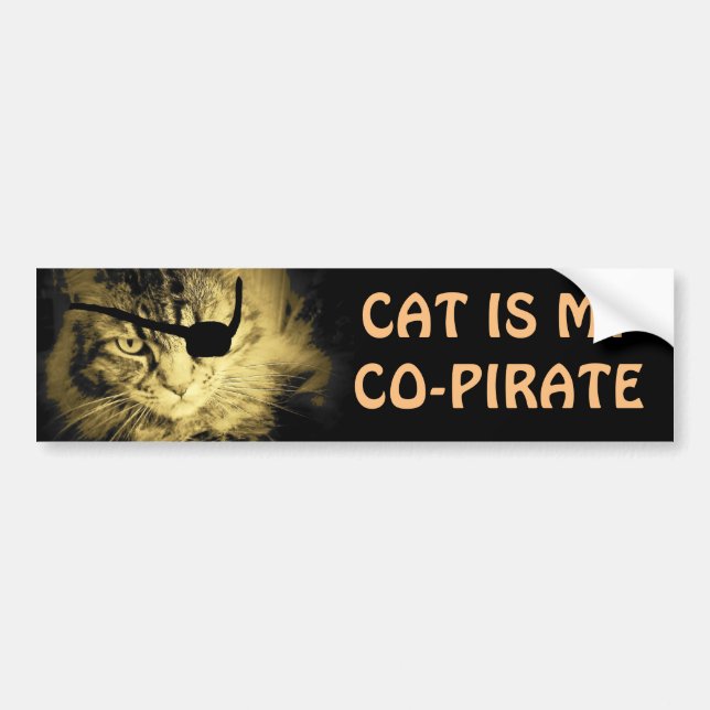 Cat is My Co-Pirate Bumper Sticker (Front)
